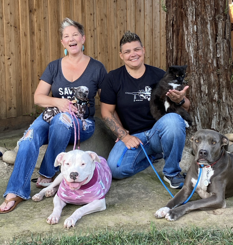 Visalia, CA Veterinarians House of Paws Veterinary Clinic